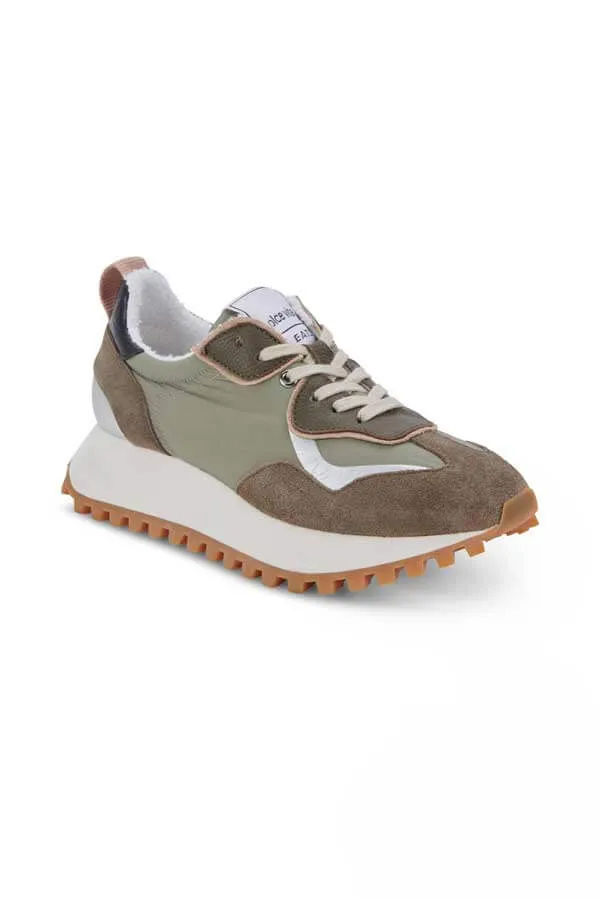 Dolce Vita X Greats Reubin Sneakers